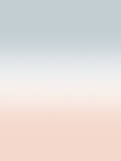 Vzorka obrazovej tapety Fog pink-grey