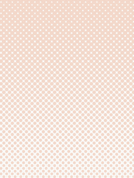 Obrazová tapeta Fog ochre-pink