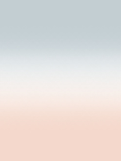 Vzorka obrazovej tapety Fog pink-grey